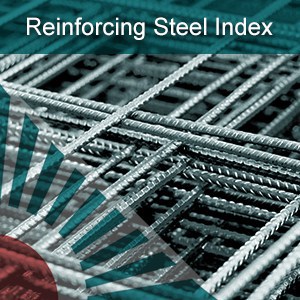 Reinforcing Steel